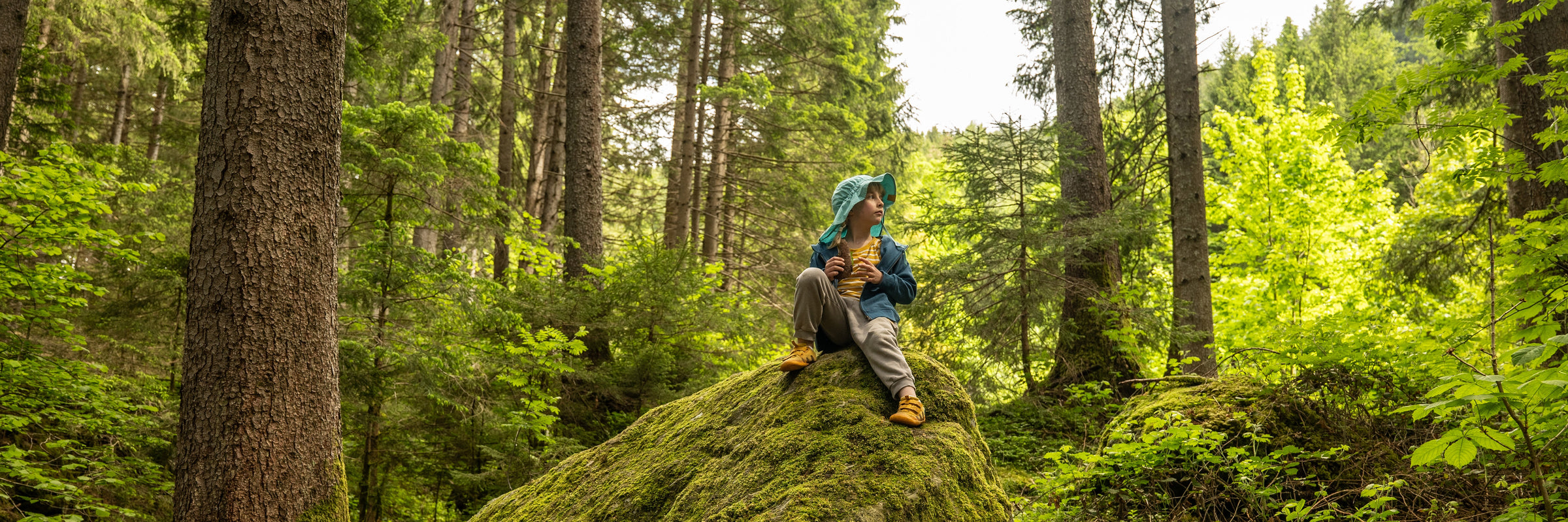 Frühling und Sommer